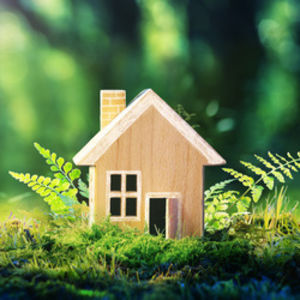 Eco tourisme Eco tourisme