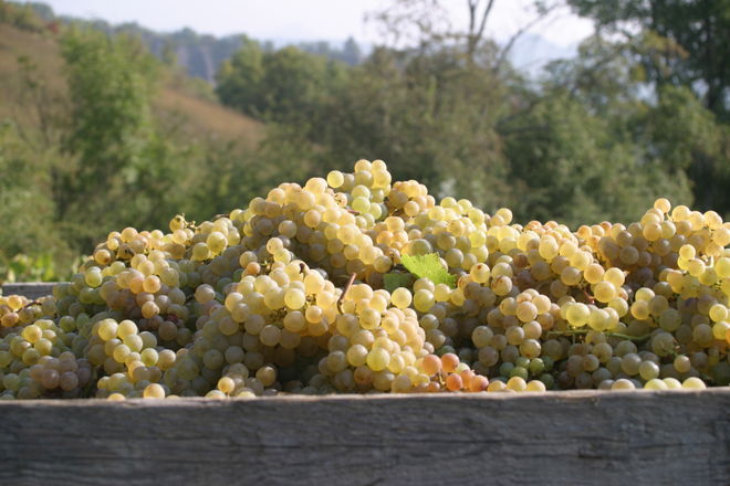 Domaine Saint André - © P.Bilocq Domaine Saint André - © P.Bilocq